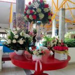 Olof Palme abre sus puertas a eventos sociales nicaragua