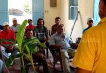 Ometepe mejorará su producción de plátano gracias a Vitroplantas