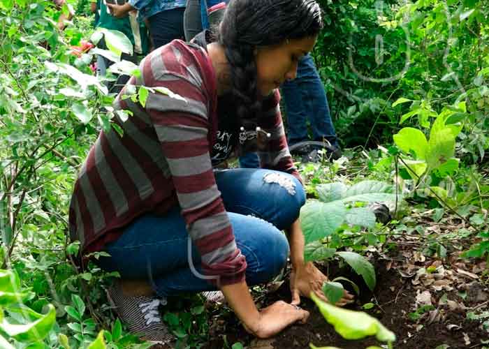 ometepe1_P5Srfo0 nicaragua