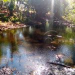 Celebran día mundial de los humedales en Ometepe