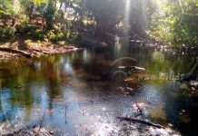 Celebran día mundial de los humedales en Ometepe