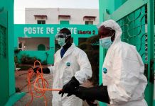 OMS: En África, el coronavirus puede colapsar el sistema de salud» africa