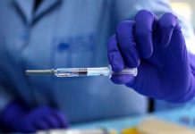 organizacion mundial de la salud