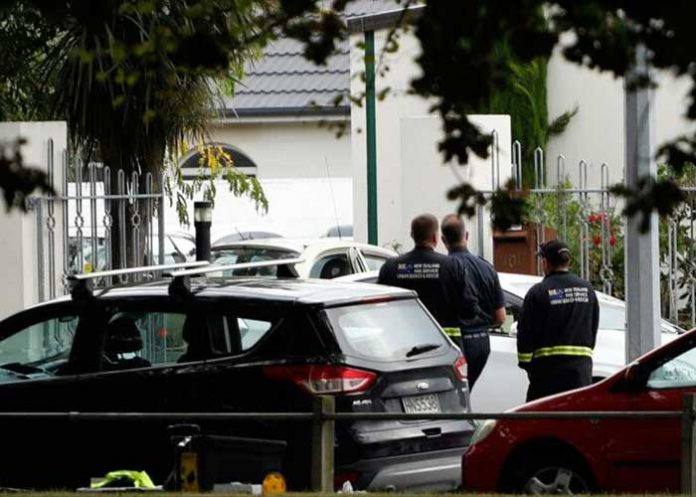 online nueva zelanda