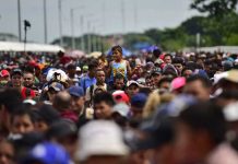 ONU: Número de migrantes en el mundo alcanza los 272 millones estados unidos