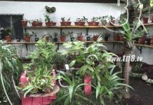 El MEFCCA realiza la apertura del primer orquideario en Boaco nicaragua