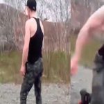 Turista intenta jugar con un oso y todo termina de la peor manera turista