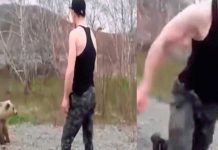 Turista intenta jugar con un oso y todo termina de la peor manera turista