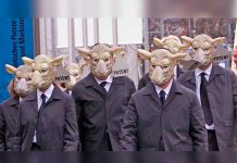 Científicos crean híbrido entre oveja y humano embriones de oveja
