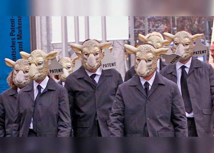 embriones de oveja