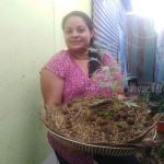 programa patio saludable