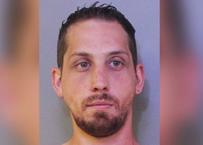 p_XoD6PUh Richard Palmer