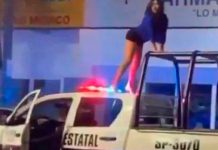 Mujer se sube a techo de patrullero y baila «reggaeton» (VIDEO) mujer
