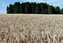 ¿Donde deberías mudarte en 20 años por el cambio climático?