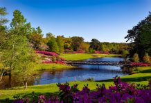 Así son los 5 jardines más hermosos del mundo (FOTOS) mundo