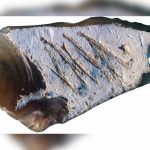 Piedra grabada en el Paleolítico prueba la cognición de neandertales piedra grabada