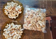 MEFCCA capacita a productores de semillas de marañón