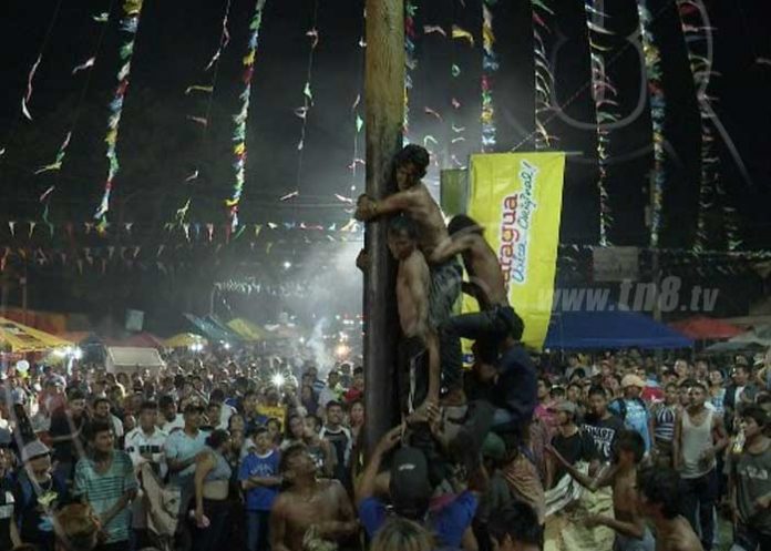 palo-lucio-1 nicaragua