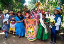 127 años de tradición: realizan corte del palo del Torovenado El Malinche nicaragua