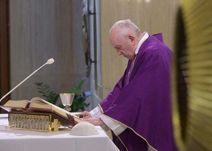 papa-1_t3PNxpt papa francisco