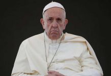 Papa: Detrás de la explotación y deforestación está la «corrupción» papa francisco