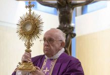Papa Francisco pide cumplir la cuarentena «por el bien de todos» vaticano