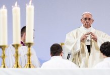 El papa acepta más renuncias de obispos en Chile por escándalos sexuales papa francisco
