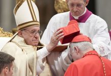El papa Francisco crea 14 cardenales de todos los continentes europa