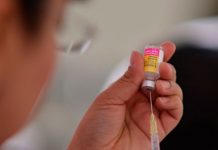 Virus del papiloma humano es erradicado al 100% en México investigadores mexicanos