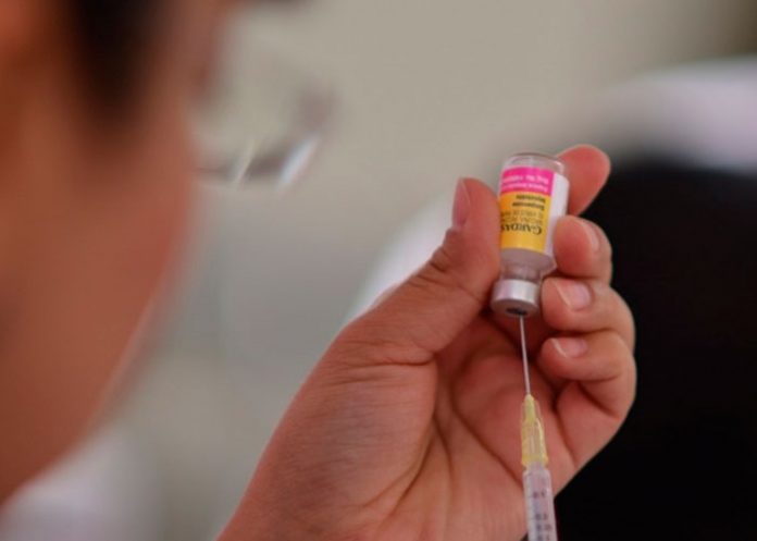 investigadores mexicanos