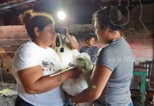 Paquetes alimenticios para familias afectadas por incendio en Managua nicaragua
