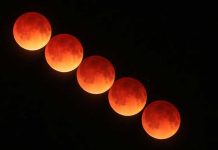 Policía atropelló a una pareja que observaba el eclipse lunar estados unidos