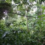 MARENA declara nuevo parque ecológico en Potosí, Rivas nicaragua