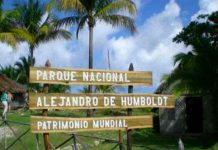 cuba, incendio forestal, medio ambiente, parque nacional alejandro de humboldt,