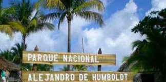 cuba, incendio forestal, medio ambiente, parque nacional alejandro de humboldt,