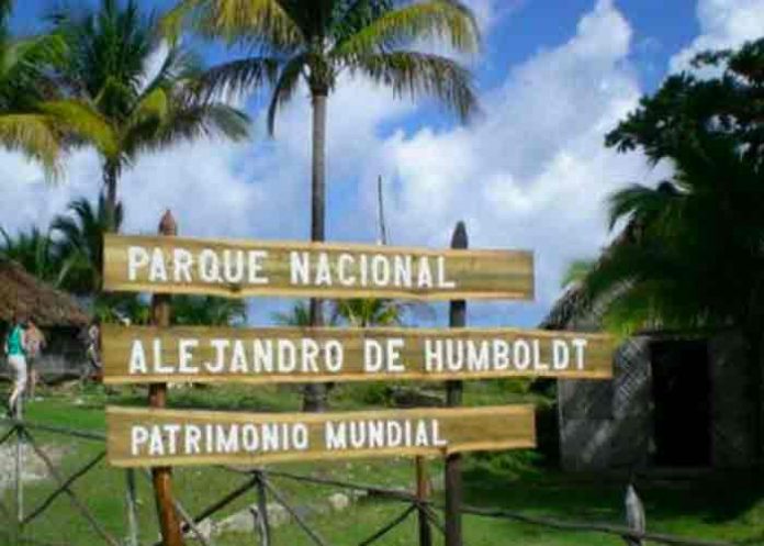 cuba, incendio forestal, medio ambiente, parque nacional alejandro de humboldt,