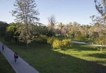 11 adolescentes detenidos por violar a una menor en un parque