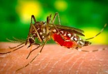 alerta ambiental