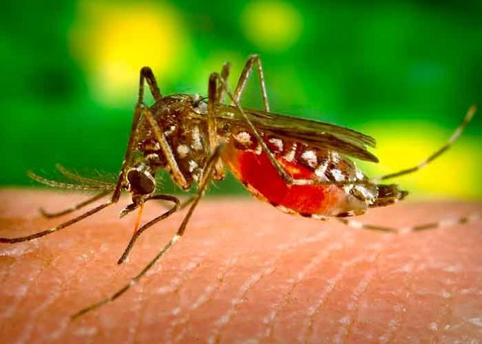 parta-a alerta ambiental