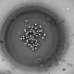 Extraño efecto causa que las partículas se congelen al calentarlas reino unido