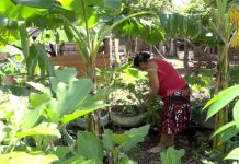 Patios Saludables, empoderando a las mujeres de Nicaragua nicaragua