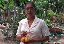 El MEFCCA continúa promoviendo Patios Saludables en familias nicaragüenses