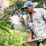 Patio saludable, una gran alternativa económica para las familias en Jalapa nicaragua