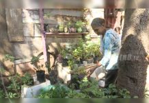 Patios Saludables siguen creciendo y transformando familias nicaragua