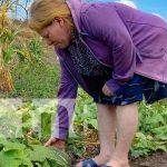 nicaragua, patio saludable, boaco,