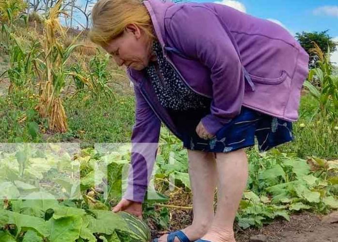 nicaragua, patio saludable, boaco,