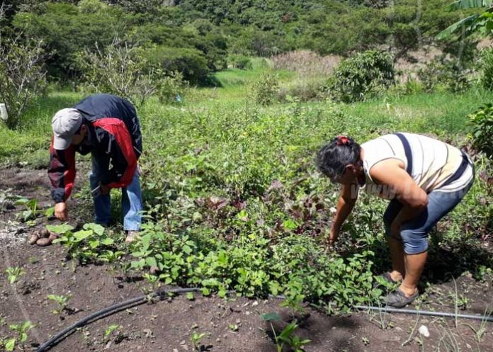 patio-jinotega-1 nicaragua