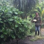 Familia García Amador, de Boaco, encantada con su Patio Saludable nicaragua