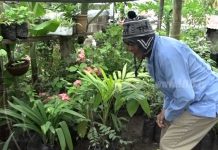 Salud y buena nutrición, ejemplo de Patio Saludable en Boaco nicaragua