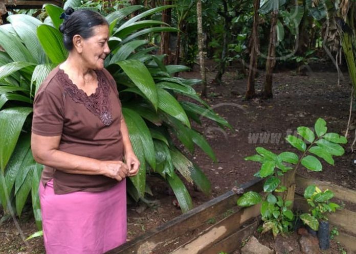 patio-saludable-laureles-2 nicaragua